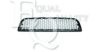 EQUAL QUALITY G1333 Ventilation Grille, bumper